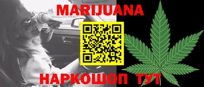 индика Ставрополь