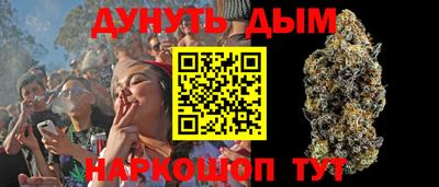 индика Ставрополь
