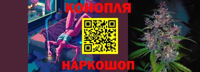 индика Ставрополь