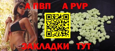 индика Ставрополь